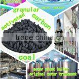 Coal Based Granular Activated Carbon for Water Purification