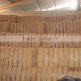 Coconut Fiber (QQ : 2598494113)