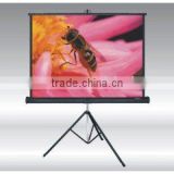 100inch wall mount projector screen