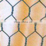 Hexagonal Iron Wire Netting