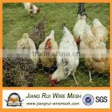 Hex Netting Chicken Wire Mesh (China Manufacturer)