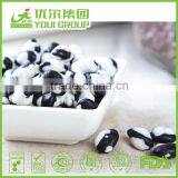 Wasabi Black Bean Snacks From Youi thumbnail-3