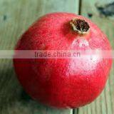 FRESH SWEET POMEGRANTE thumbnail-5