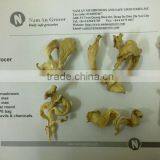 Dry Oyster Mushrooms (Pleurotus Ostreatus) thumbnail-1