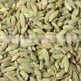Indian Fennel Seeds thumbnail-2