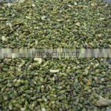 Dried Flos Sophora Japonica /pagoda Tree Flower thumbnail-1