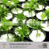 Factory Perlite Water Retain Growing Medium thumbnail-5