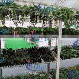 254 Seedling Pot Plant Trolley thumbnail-2