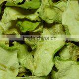 GP-II Model Pre-treatment Production Line For Vegetable Dehydration Line thumbnail-6