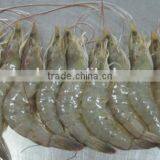 Shrimp Multiple Layer Continuous Type Mesh Belt Dryer thumbnail-6
