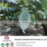 Make to Order 100% pp Spun-bonded Non Woven Fabric Usded for Agriculture thumbnail-4