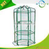 3 Layer Hexangular PE Greenhouse thumbnail-1