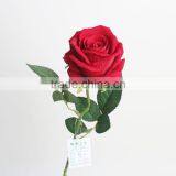 SJ11001210 Single Real Touch Rose Vintage Silk Flowers Rose thumbnail-4