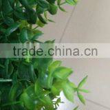 Artificial Boxwood Carpet Artificial Grass Carpet for Balcony thumbnail-3