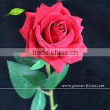 FLS07 GNW Red Velvet Rose Flower Real Touch for Wedding Decoration Flower Plastic thumbnail-1