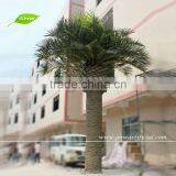 APM030 GNW All Kind of Artificial Palm Tree