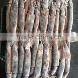 2016 Frozen High Quality Illex Squid 100g-150g thumbnail-2