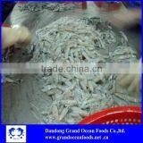 Frozen Baby Squid 3-6cm thumbnail-1