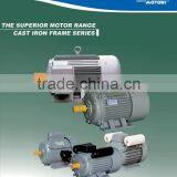 Cast Iron IE1 Three Phase Electric Motor thumbnail-1