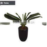 Factory Direct Sell Artificial Decorative Indoor and Outdoor Plant Tree With Pot for Decoration Use thumbnail-3