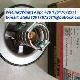 Cummins Thermostat D4318947