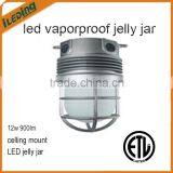 Replace Incandescent and CFL Fixtures LED Varporproof Jelly Jar thumbnail-1