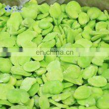 Sinocharm BRC Certified High Quality Frozen Fresh Peeled Broad Beans thumbnail-2