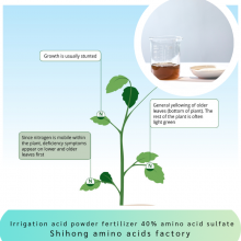 Vegetable Source Amino Acid Powder 40% Content Sulfate Chlorine Free Fully Water Soluble for Sensitive Agriculture Crops thumbnail-2