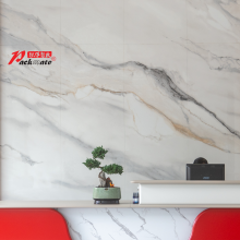 Packmate (Guangdong) Co., Ltd. company overview - view 1 thumbnail