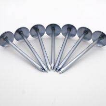 OEM & ODM Umbrella Head Corrugated Nails - 2inch, 2.5inch, Custom Packaging & Branding Options thumbnail-1