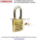 Power Saving Digital Alarm Antique Padlock Safety Padlock AL-60