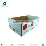FRUIT PACKING |MANGO BOX|TOMATO BOX thumbnail-2