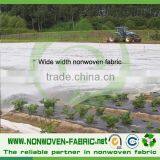 Agriculture Nonwoven Banana Plant Cover Fabric thumbnail-5