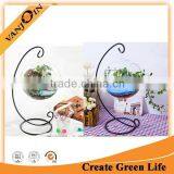 Wholesale Hanging Glass Semicircular Ball Flower Hydroponic Glass Vase thumbnail-4