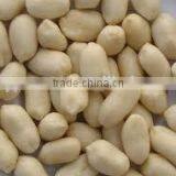 blanched peanut kernel 25/29,29/33 from factory cheap price