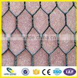 Weave Mesh Type and Hexagonal Hole Shape Hexagonal Wire Mesh for Zoo Bird Cages thumbnail-4