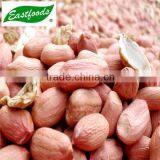 New Crop Peanut Kernel thumbnail-2