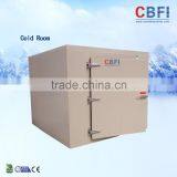 Guangzhou Walk in Refrigerator for Warehouse