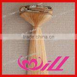 24 Inch Clip on Hair Extension Clip on Indian Hair Extensions