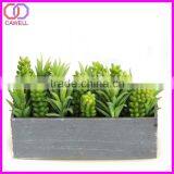 Decorative Artificial Cactus thumbnail-5