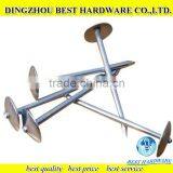 9bwg Straight Umbrella Head Galvanized Roofing Nails thumbnail-1