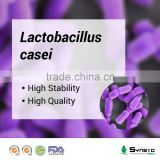 Lactobacillus casei for digestive health