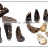 Horn Toggles/wholesale Fashion Design Horn Coat/toggle Horn Buttons for Sale thumbnail-6