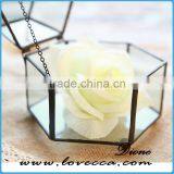 Hot Sale Indoor Plant Glass Terrarium Clear Glass Geometrical Hanging Terrarium-tiffany Geometric Glass Terrarium thumbnail-3