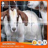 Steel Wire Hot Dipped Galvanizing Type Hinged Joint Cattle Fence thumbnail-1