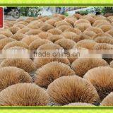 Low Price Bamboo Stick for Incense,price of Incense Stick thumbnail-1