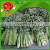 Fresh Vegetables, Lettuce, Cabbage, Carrot, Eggplant, Tomato, Cucamber, CeleryOnion thumbnail-2