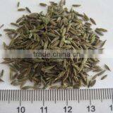 Black Cumin Seed Cumin Seeds