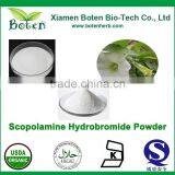High Quality Raw Material Scopolamine-99%