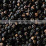 VIETNAM VINAPRO BLACK PEPPER 500G/L, (+84 1657 106 604 - WHATSAPP) thumbnail-4